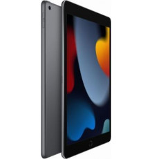 Планшет Apple iPad 10.2" 64 GB Szare (MK2K3TY/A                      )