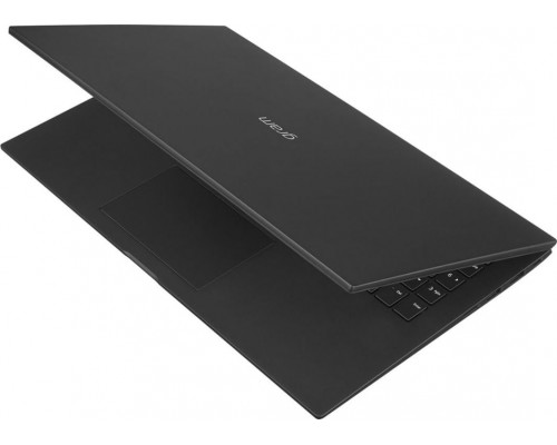 Laptop LG Gram 15 2022 (15Z90Q-G.AA55Y)