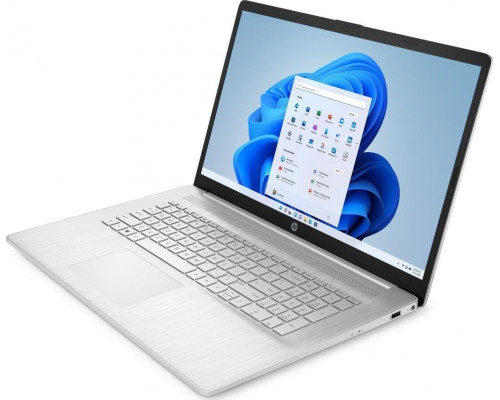 Laptop HP 17-cp0010nr (316R4UA)