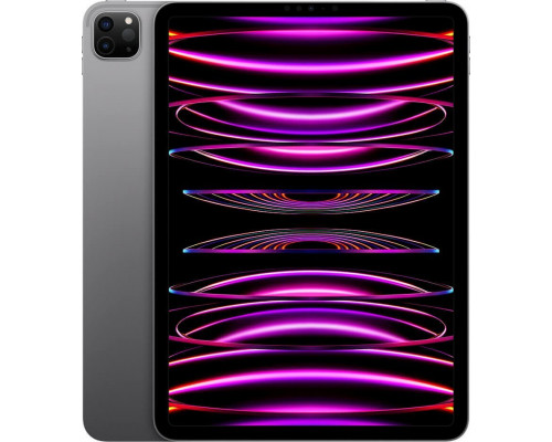 Планшет Apple iPad Pro 11" 256 GB 5G Серый (MNYE3FD/A)
