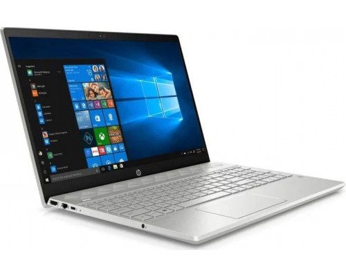 Laptop HP Pavilion 15-cs3003nw (8UF09EA)