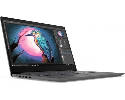 Laptop Lenovo V17-IIL (82GX008BPB)