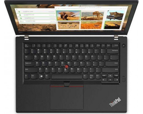 Laptop Lenovo Lenovo ThinkPad T480 i5-7300U 8GB 256GB SSD HD KAM W10 PRO
