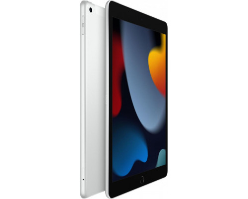 Планшет Apple iPad 10.2" 256 GB 4G LTE Серебро (MK4H3FD/A)