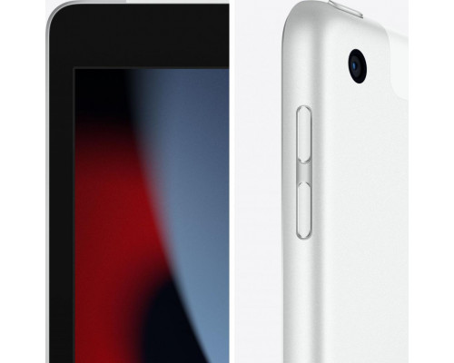 Планшет Apple iPad 10.2" 256 GB 4G LTE Серебро (MK4H3FD/A)